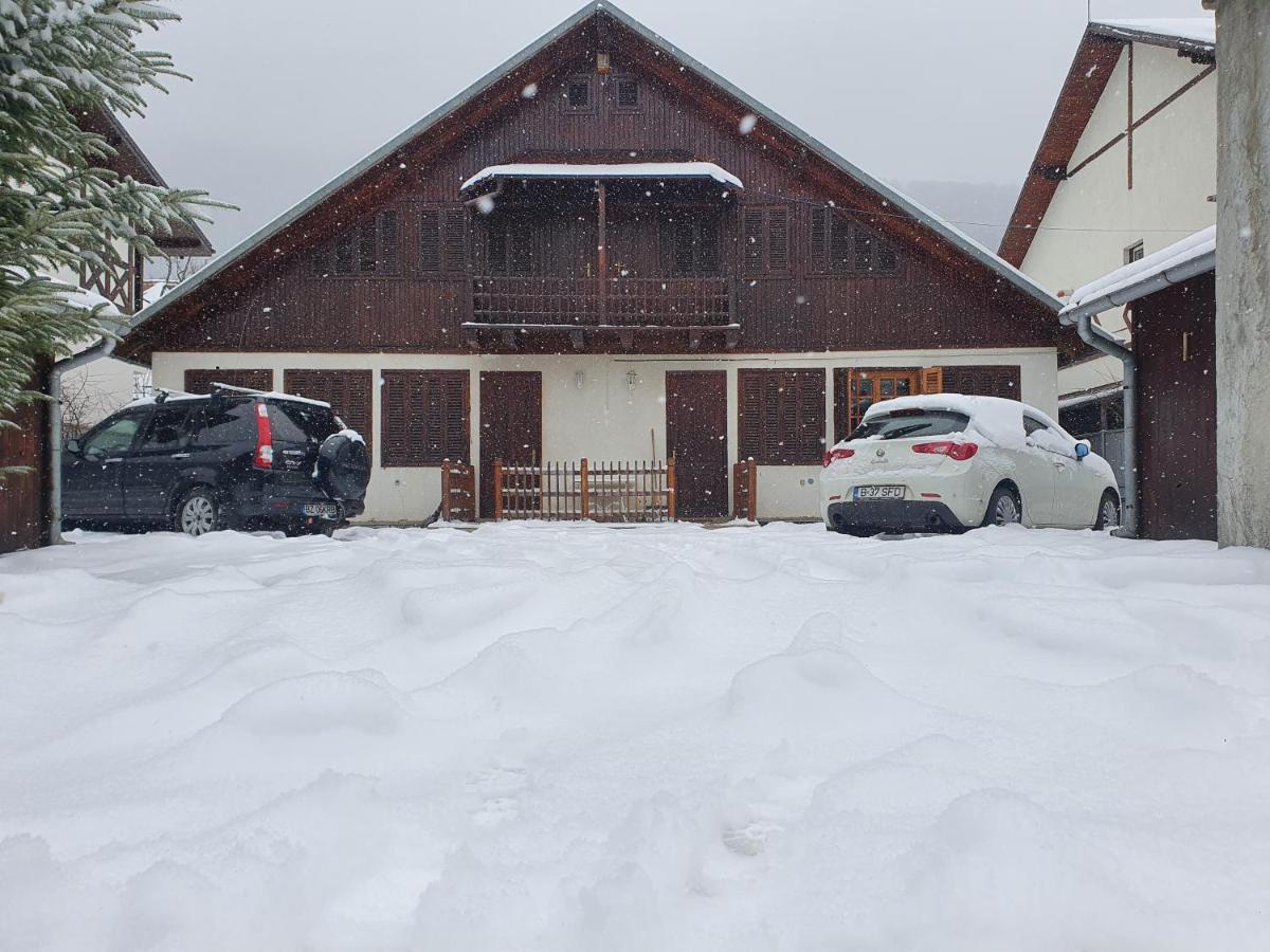 Vila Panselutelor 6 Sinaia Exterior foto