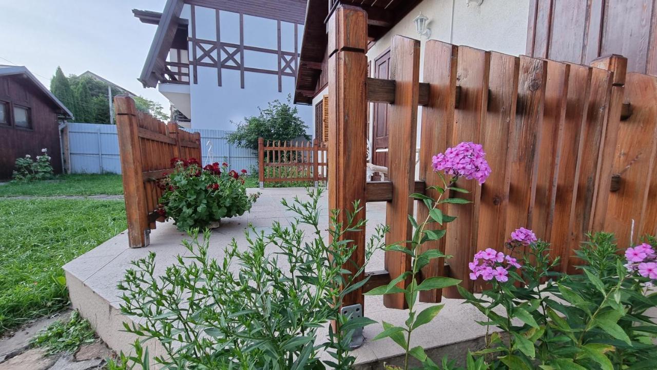 Vila Panselutelor 6 Sinaia Exterior foto